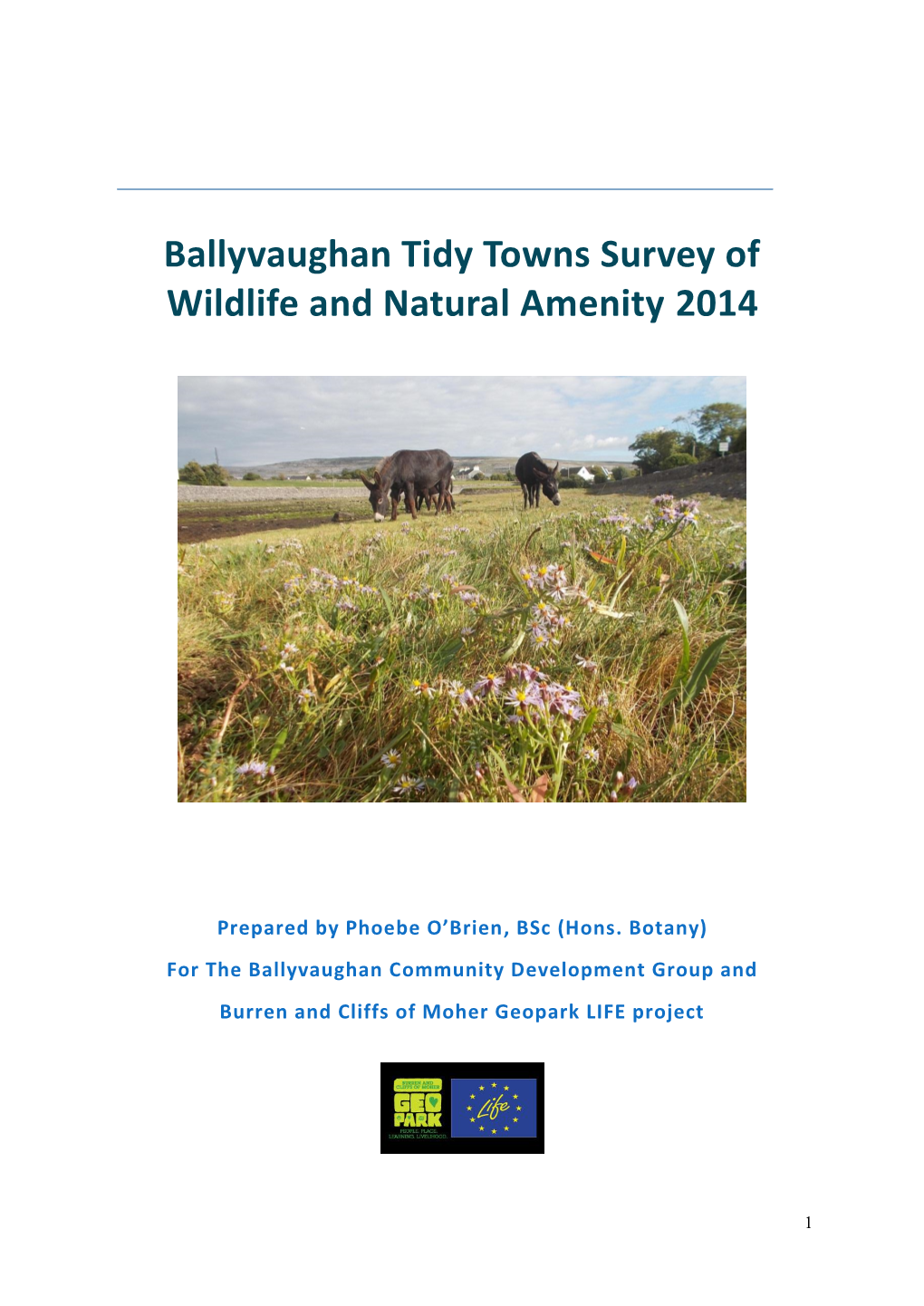 Ballyvaughan Tidy Towns Survey of Wildlife and Natural Amenity 2014