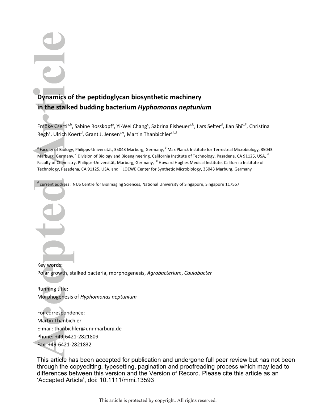 Dynamics of the Peptidoglycan Biosynthetic Machinery in the Stalked Budding Bacterium Hyphomonas Neptunium