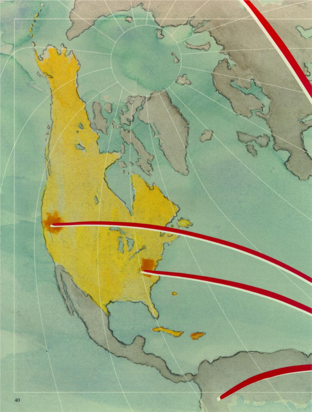 Genealogy and Diversification of the AIDS Virus