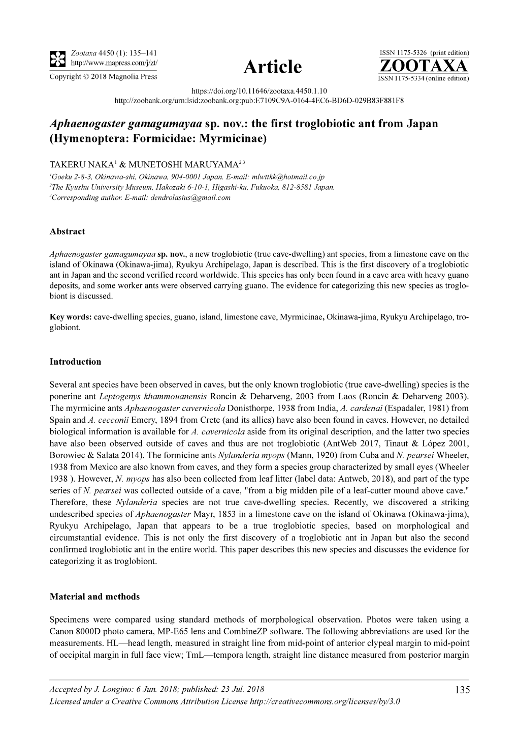 Aphaenogaster Gamagumayaa Sp. Nov.: the First Troglobiotic Ant from Japan (Hymenoptera: Formicidae: Myrmicinae)