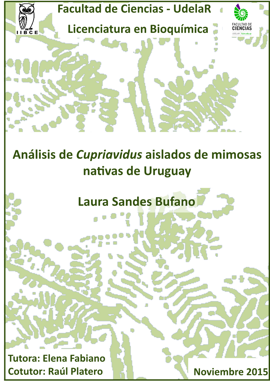 Laura Sandes Bufano Análisis De Cupriavidus Aislados De Mimosas Nativas De Uruguay