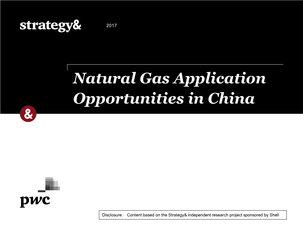 Natural Gas Application Opportunities in China