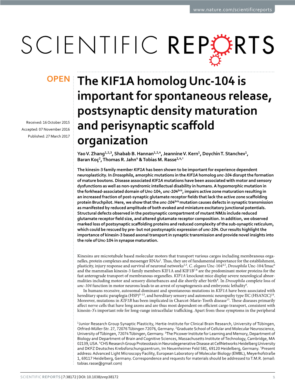 The KIF1A Homolog Unc-104 Is Important for Spontaneous