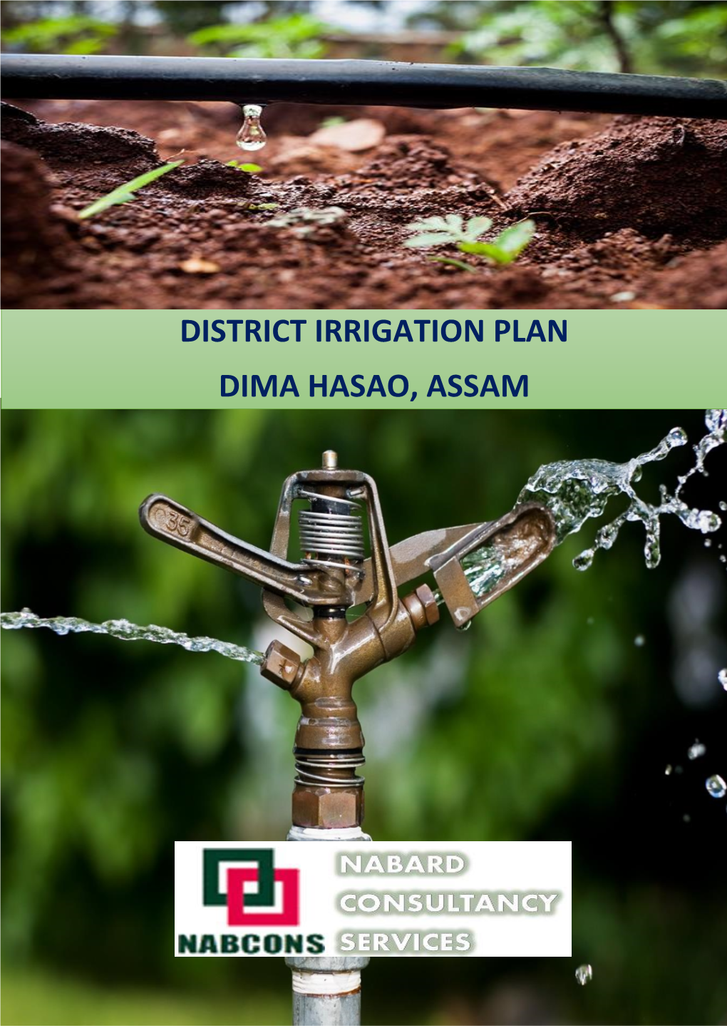 District Irrigation Plan Dima Hasao, Assam