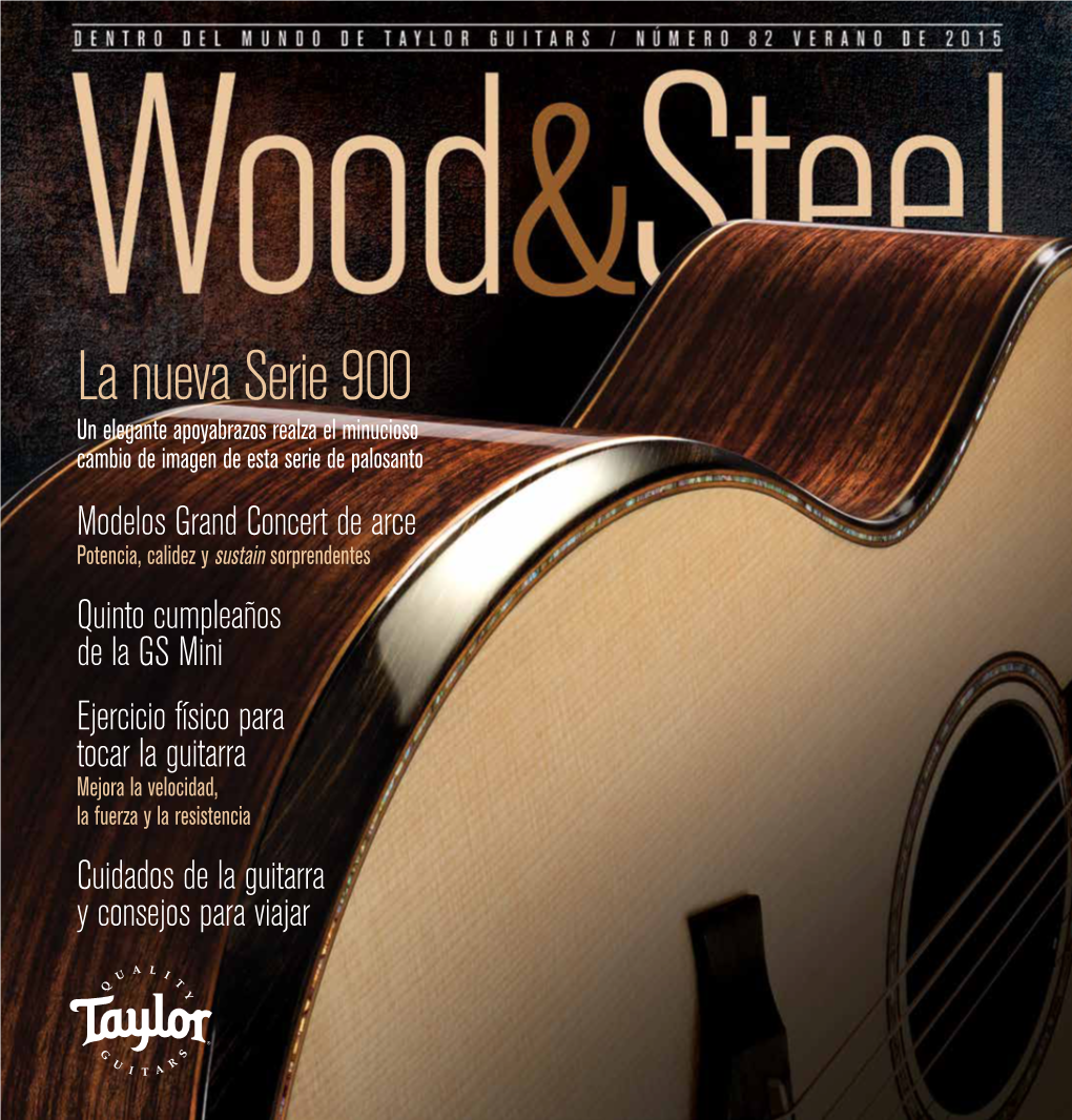 Dentro Del Mundo De Taylor Guitars