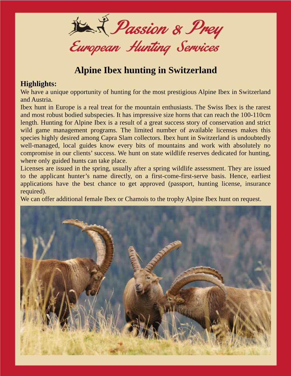 Alpine Ibex Hunting in Switzerland Highlights: We Have a Unique Opportunity of Hunting for the Most Prestigious Alpine Ibex in Switzerland and Austria