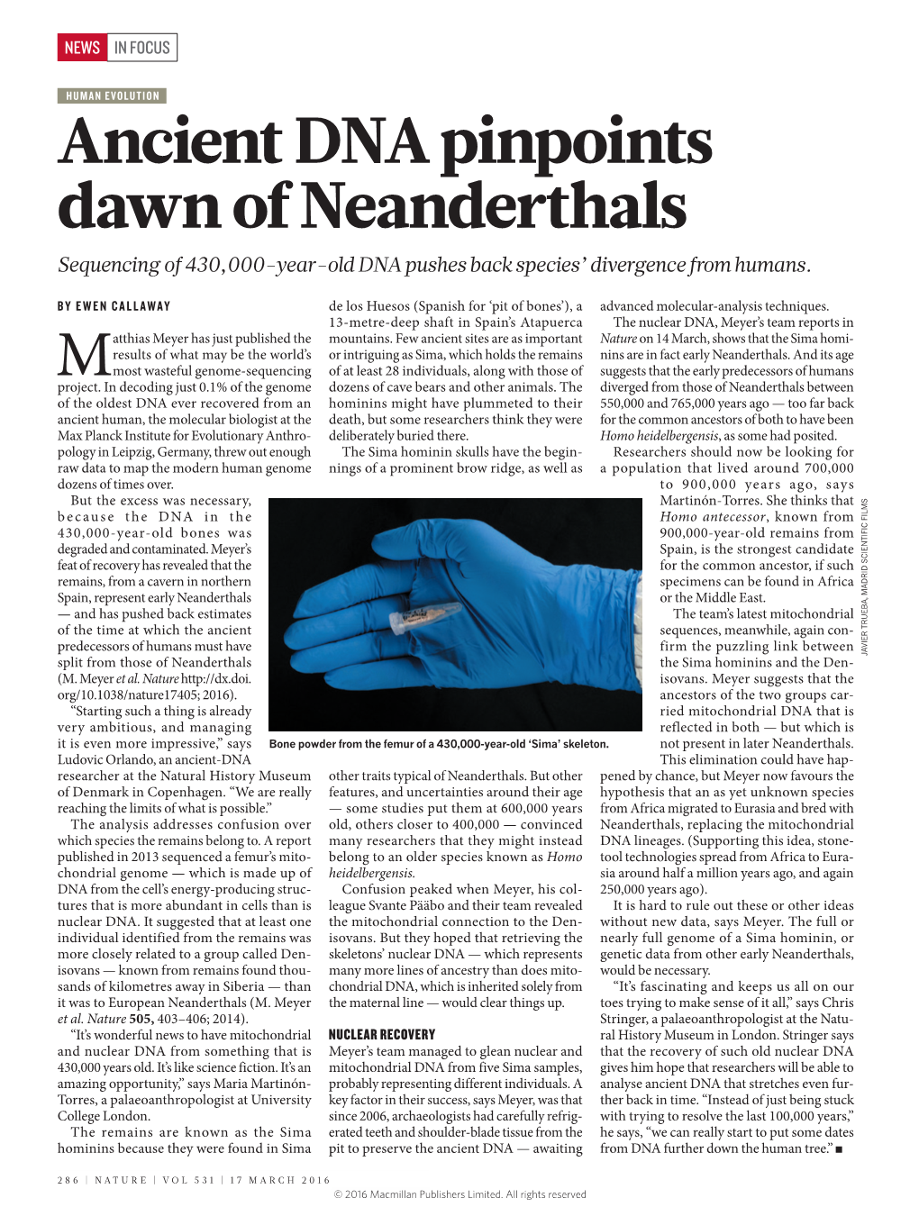 Ancient DNA Pinpoints Dawn of Neanderthals Sequencing of 430,000-Year-Old DNA Pushes Back Species’ Divergence from Humans