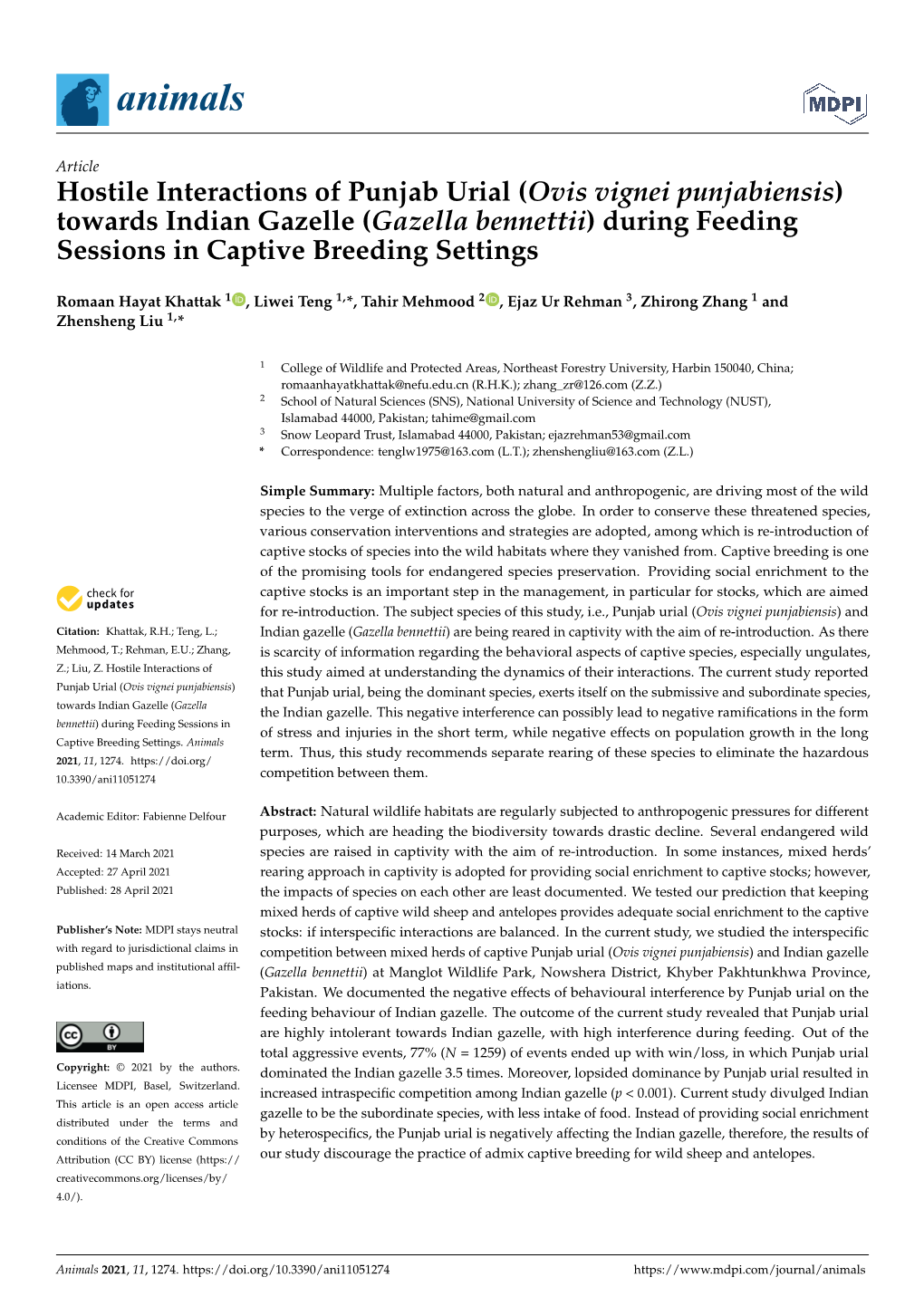 (Ovis Vignei Punjabiensis) Towards Indian Gazelle (Gazella Bennettii) During Feeding Sessions in Captive Breeding Settings