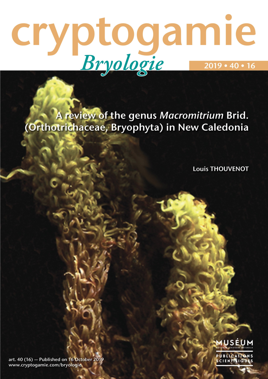 A Review of the Genus Macromitrium Brid. (Orthotrichaceae, Bryophyta) in New Caledonia