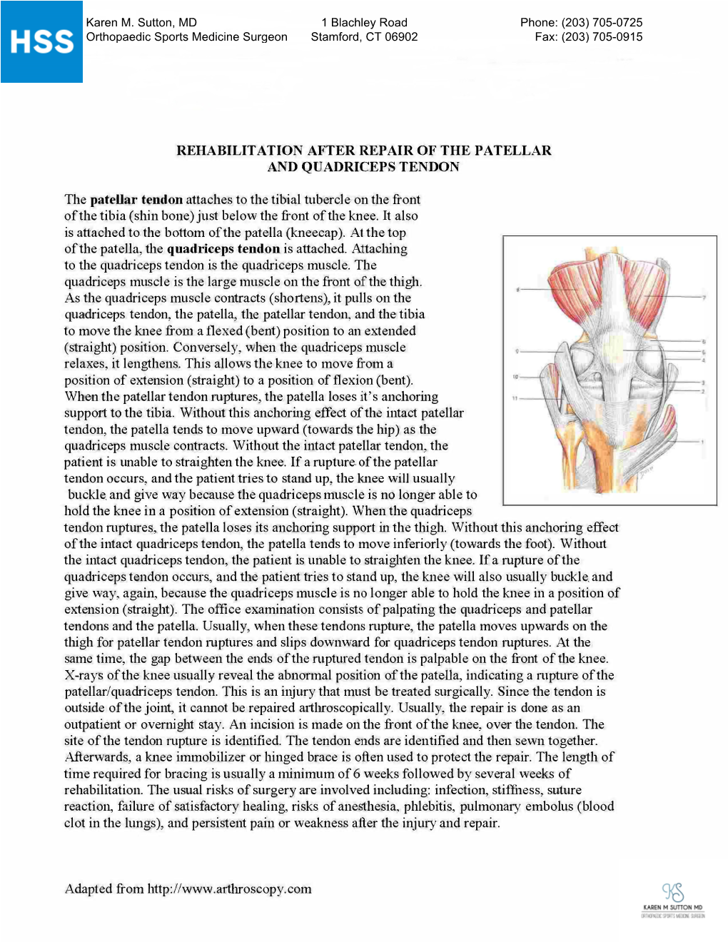 Rehabilitation After Repair of the Patellar and Quadriceps Tendon