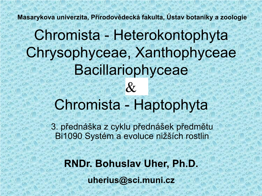 Chromista - Heterokontophyta Chrysophyceae, Xanthophyceae Bacillariophyceae