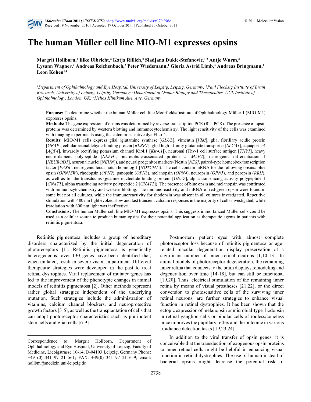 The Human Müller Cell Line MIO-M1 Expresses Opsins