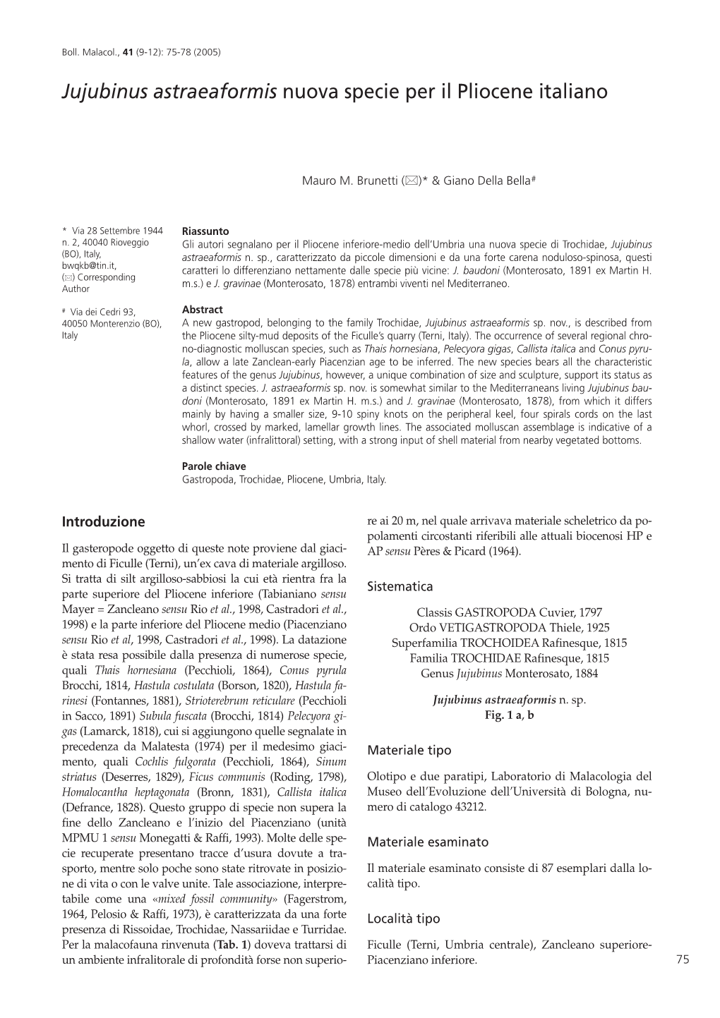 Bollettino Malacologico, 34 (9-12): 145-166