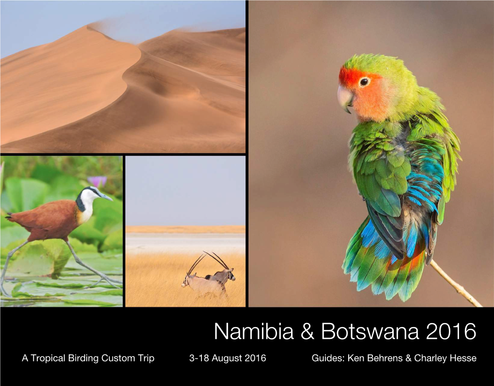 Namibia & Botswana 2016