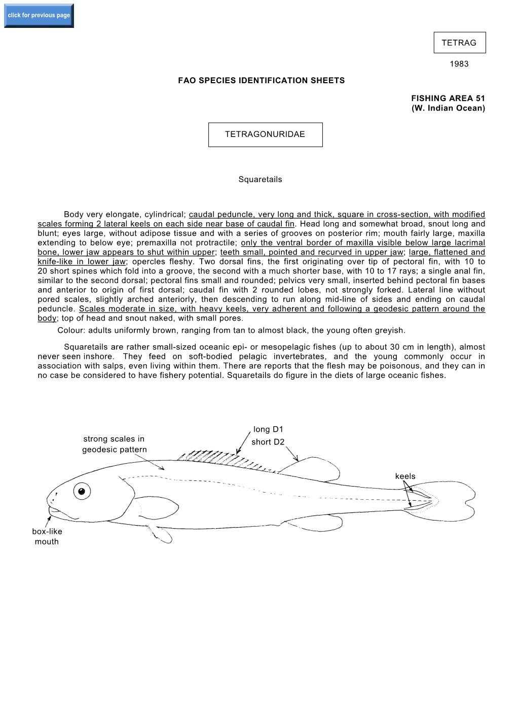 Tetrag 1983 Fao Species Identification Sheets