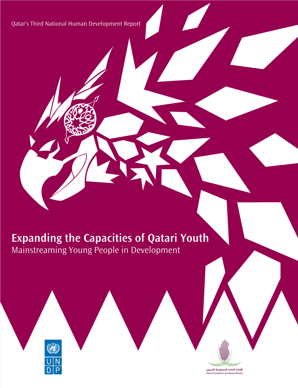 Expanding the Capacities of Qatari Youth