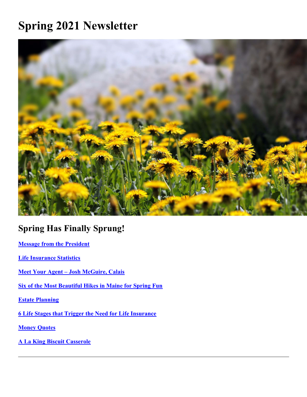 Spring 2021 Newsletter