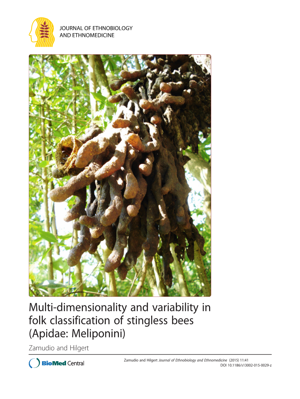 Multi-Dimensionality and Variability in Folk Classification of Stingless Bees (Apidae: Meliponini) Zamudio and Hilgert