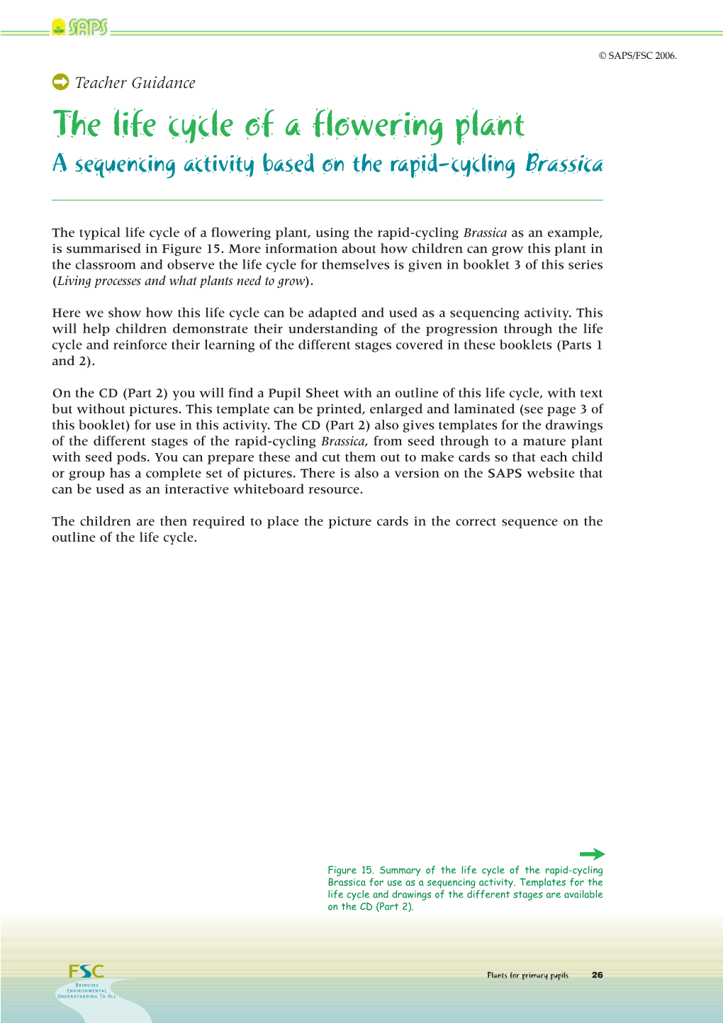 The Life Cycle of a Flowering Plant a Sequencing Activity Based on the Rapid-Cycling Brassica