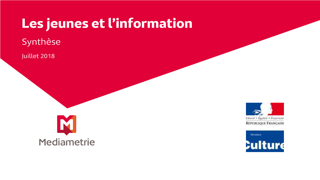 Culture.Gouv.Fr – Synthèse – Les Jeunes Et L'information (PDF)