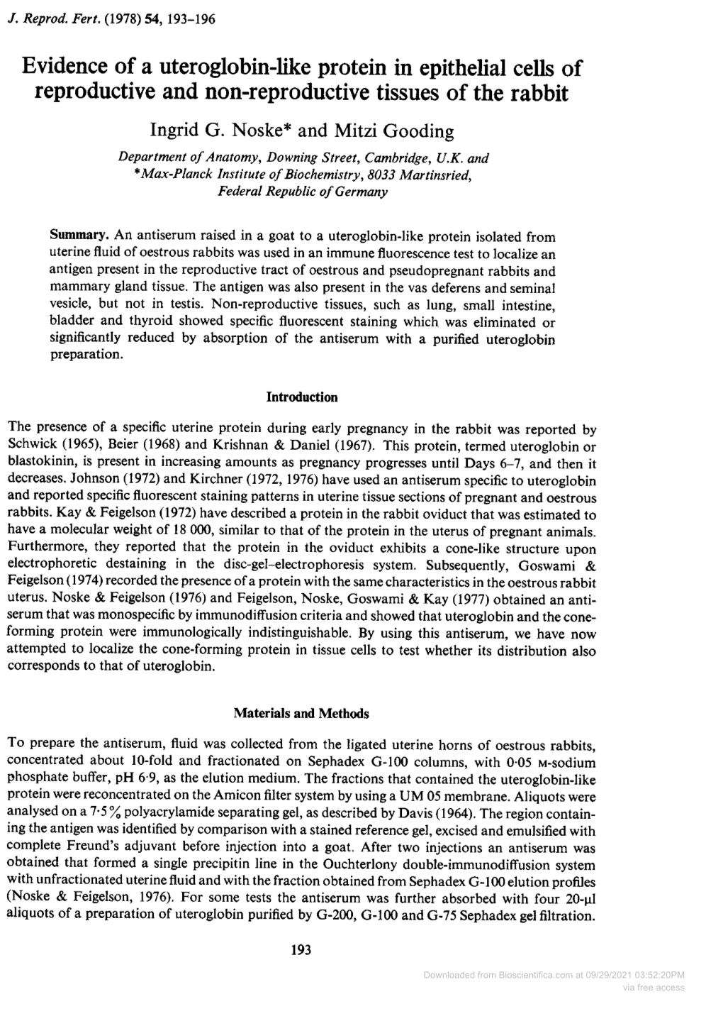 Evidence of a Uteroglobin-Like Protein in Epithelial Cells of Reproductive and Non-Reproductive Tissues of the Rabbit Ingrid G