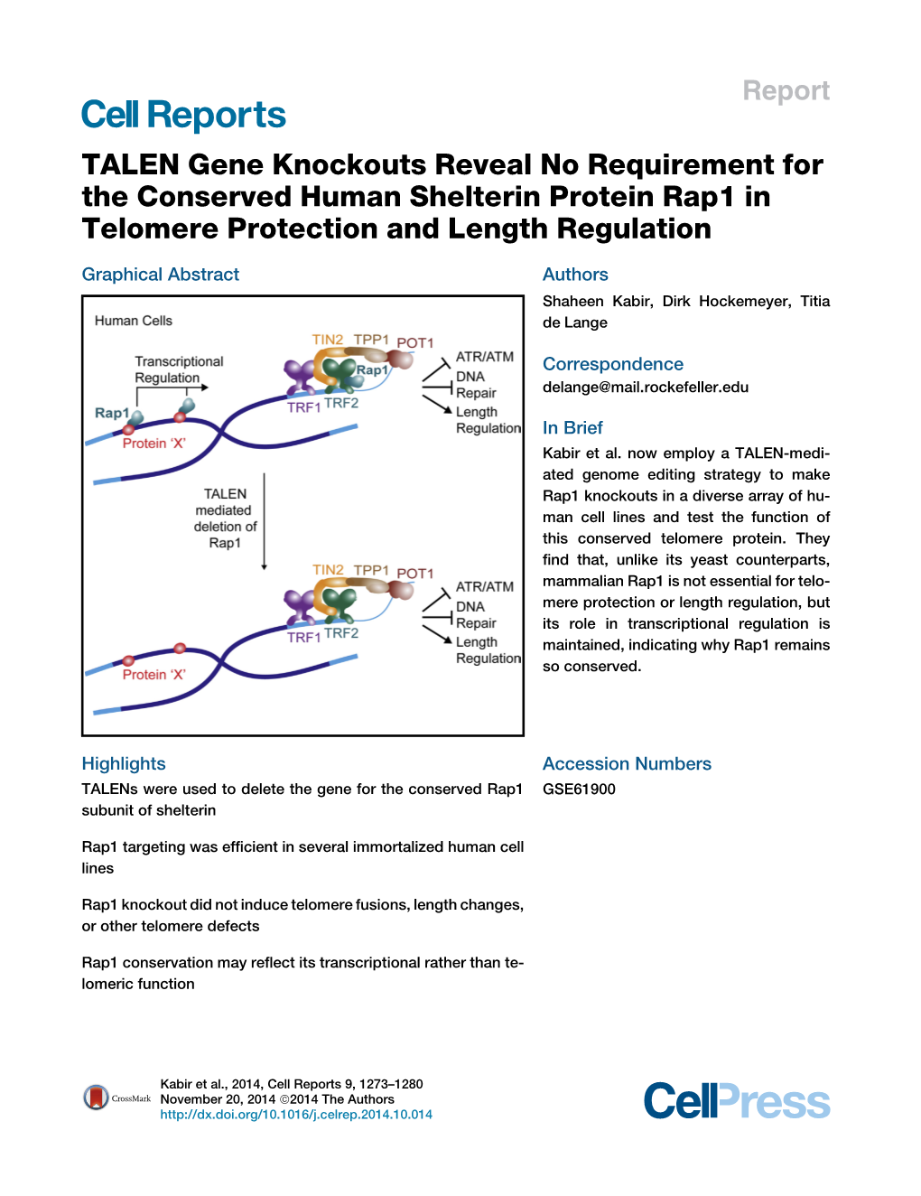 TALEN Gene Knockouts Reveal No Requirement for the Conserved Human Shelterin Protein Rap1 in Telomere Protection and Length Regulation