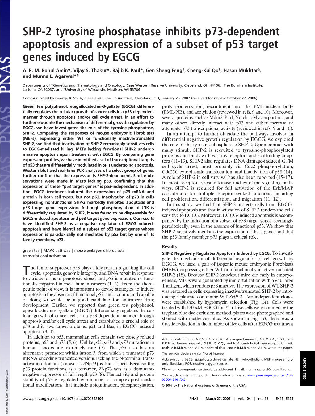 SHP-2 Tyrosine Phosphatase Inhibits P73-Dependent Apoptosis and Expression of a Subset of P53 Target Genes Induced by EGCG