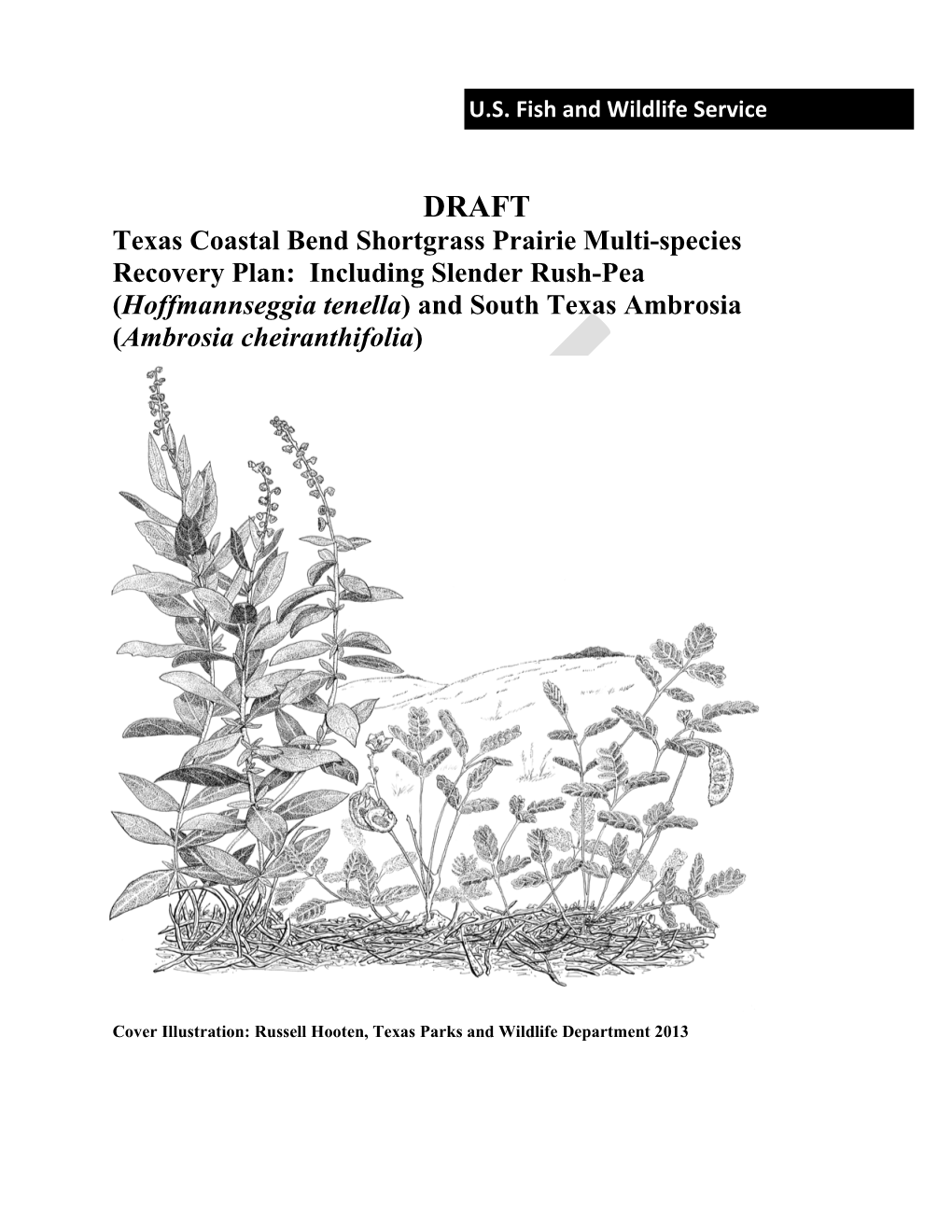 Texas Coastal Bend Shortgrass Prairie Multi-Species Recovery Plan