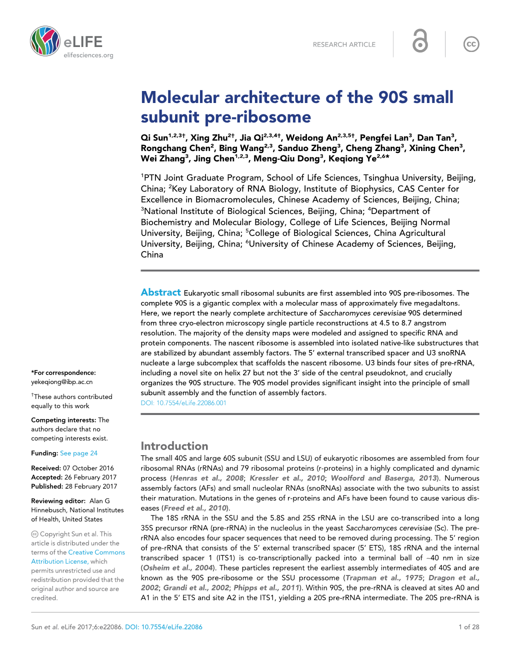 Molecular Architecture of the 90S Small Subunit Pre-Ribosome