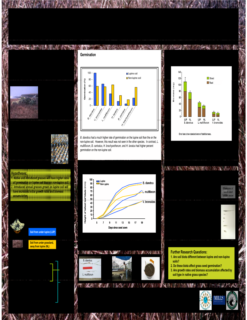 Early Growth of Introduced and Native Grasses on Lupine-Enriched Soil Taraneh M