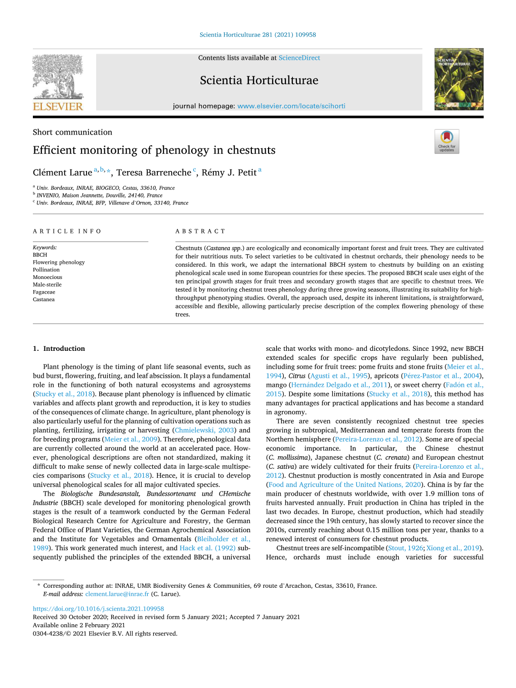 Efficient Monitoring of Phenology in Chestnuts