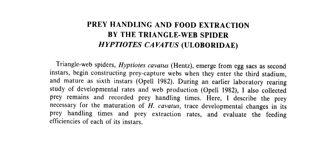 PREY HANDLING and FOOD EXTRACTIO N by the TRIANGLE-WEB SPIDE R Triangle-Web Spiders, Hyptiotes Cavatus (Hentz), Emerge From