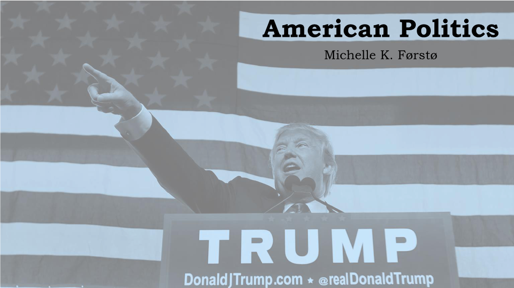 American Politics Michelle K