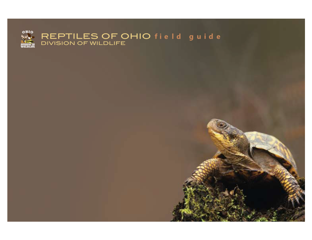 Reptiles of Ohio Guide