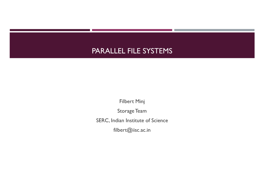 Parallel File Systems