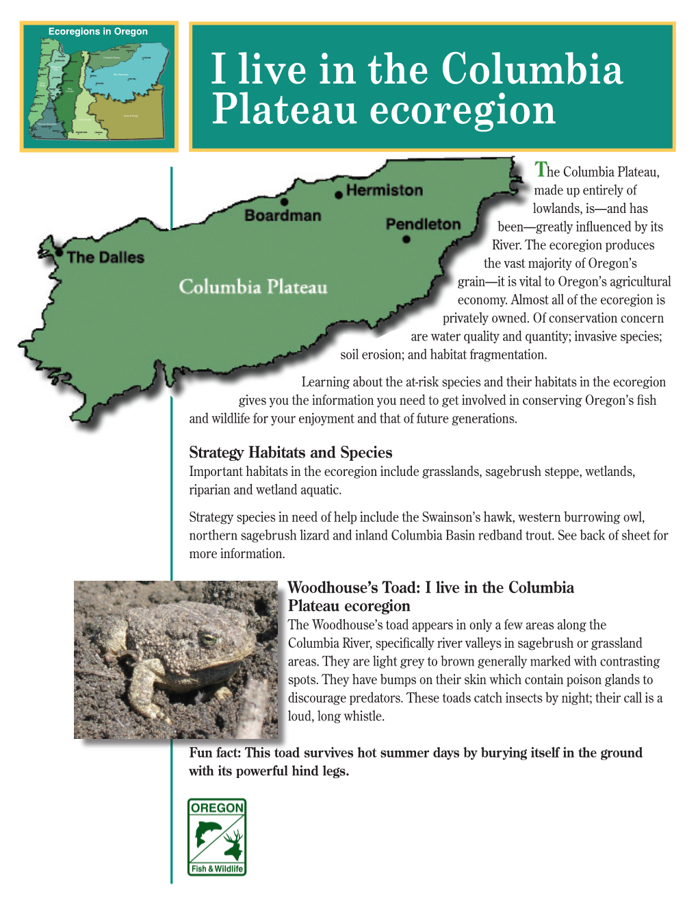 Columbia Plateau Ecoregion