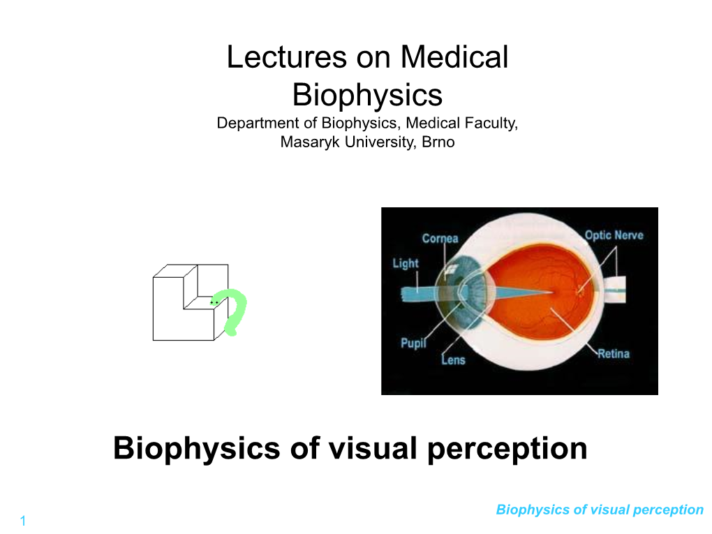 Biophysics of Visual Perception
