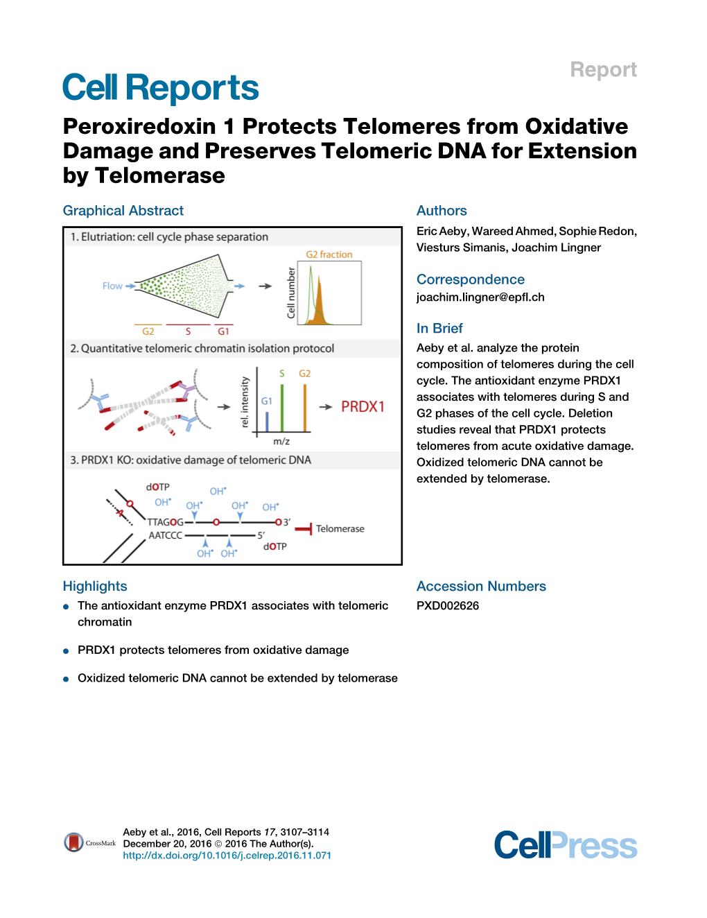 Peroxiredoxin 1 Protects Telomeres from Oxidative Damage and Preserves Telomeric DNA for Extension by Telomerase