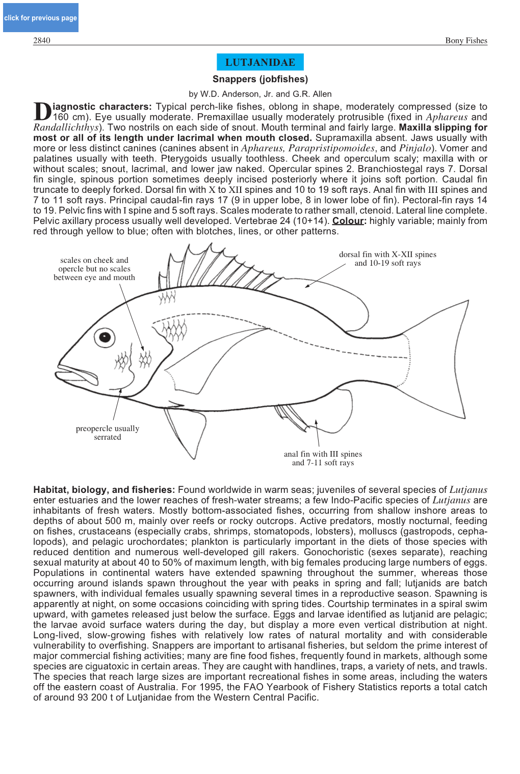 LUTJANIDAE Snappers (Jobfishes) by W.D