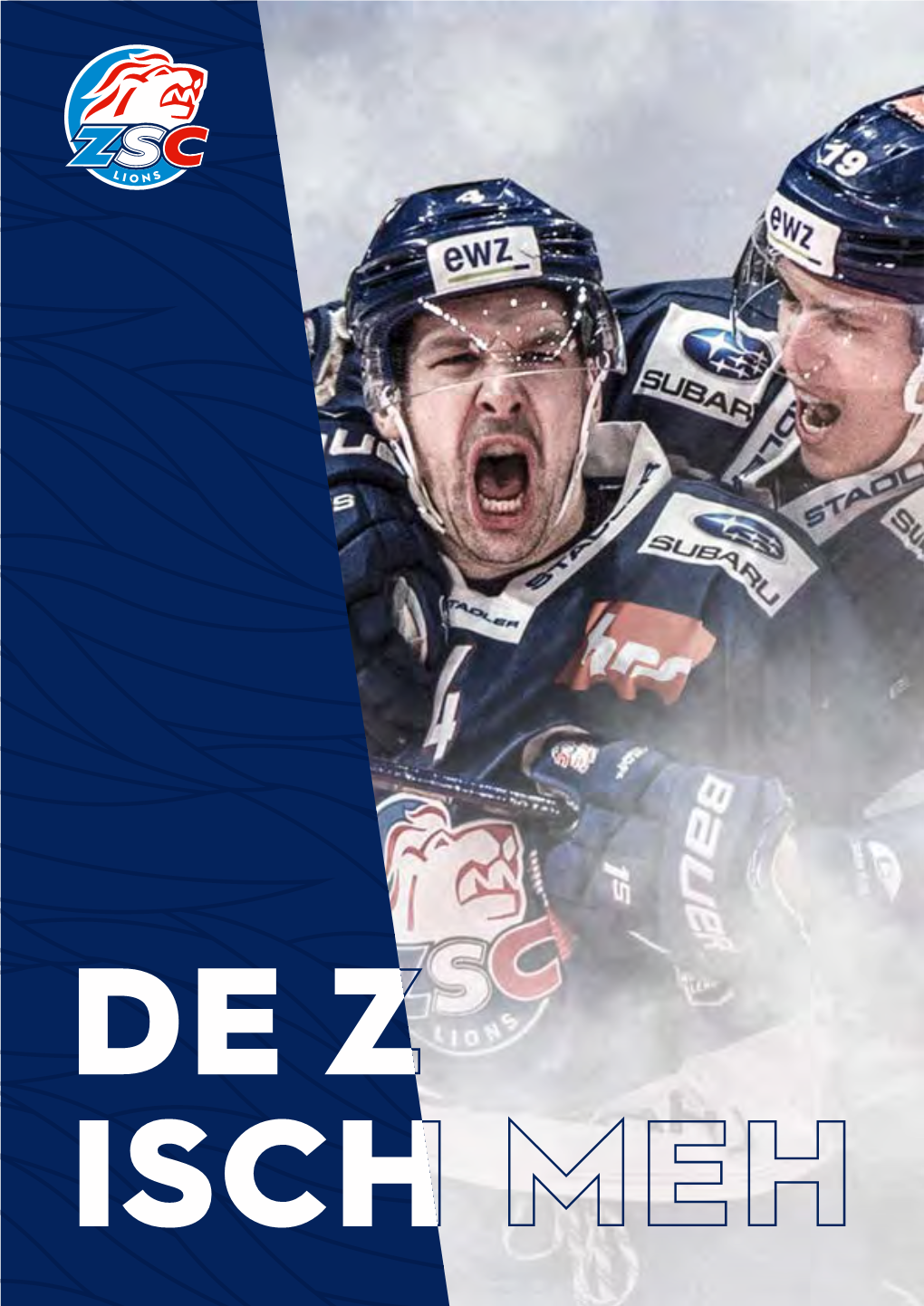 Broschuere ZSC-Lions.Pdf