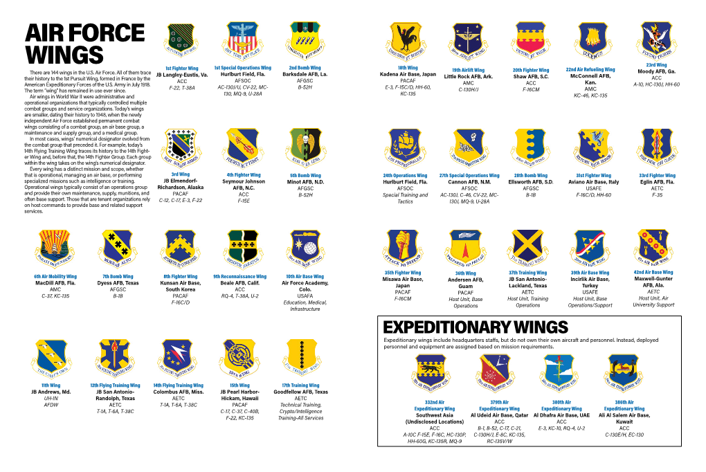 Air Force Wings