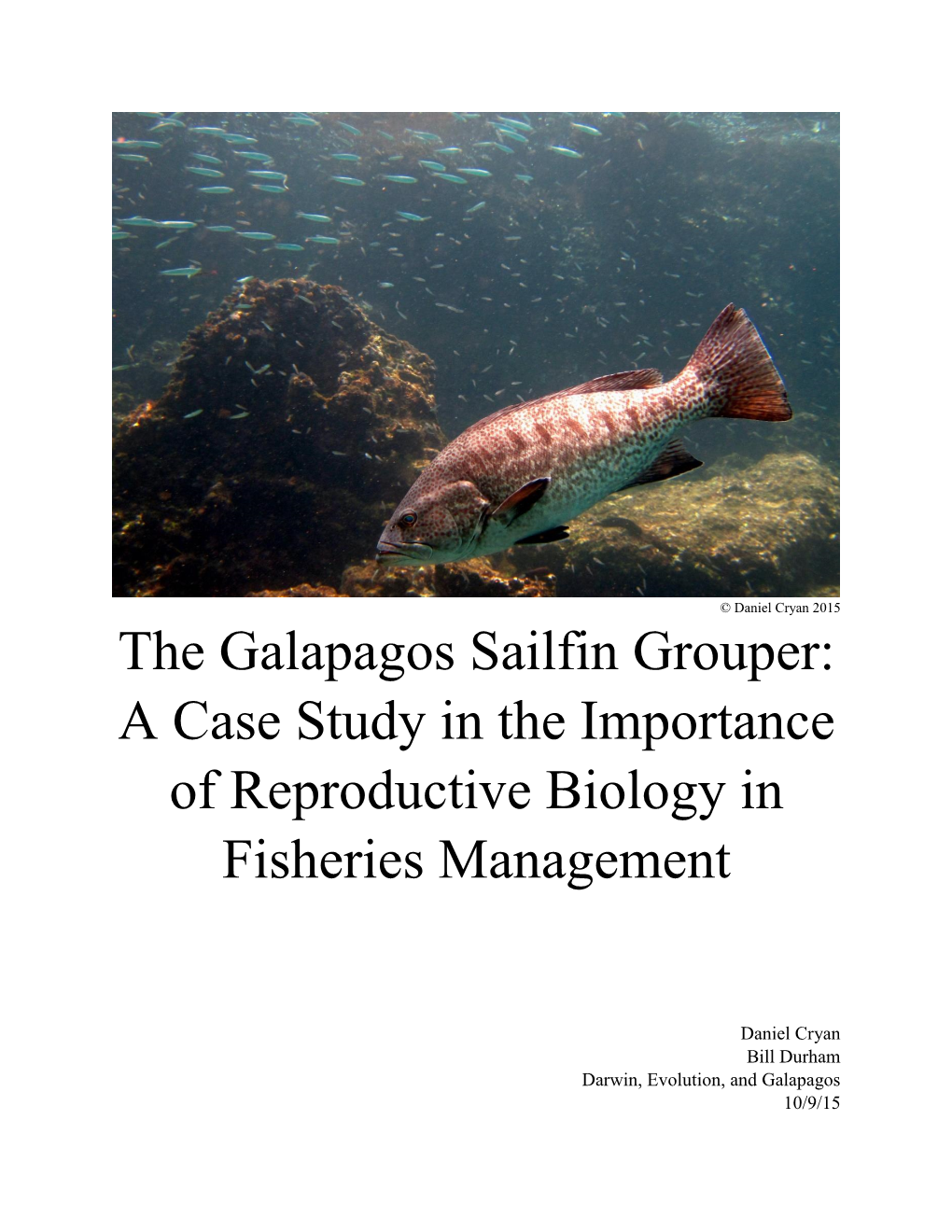 The Galapagos Sailfin Grouper: a Case Study in the Importance of Reproductive Biology in Fisheries Management