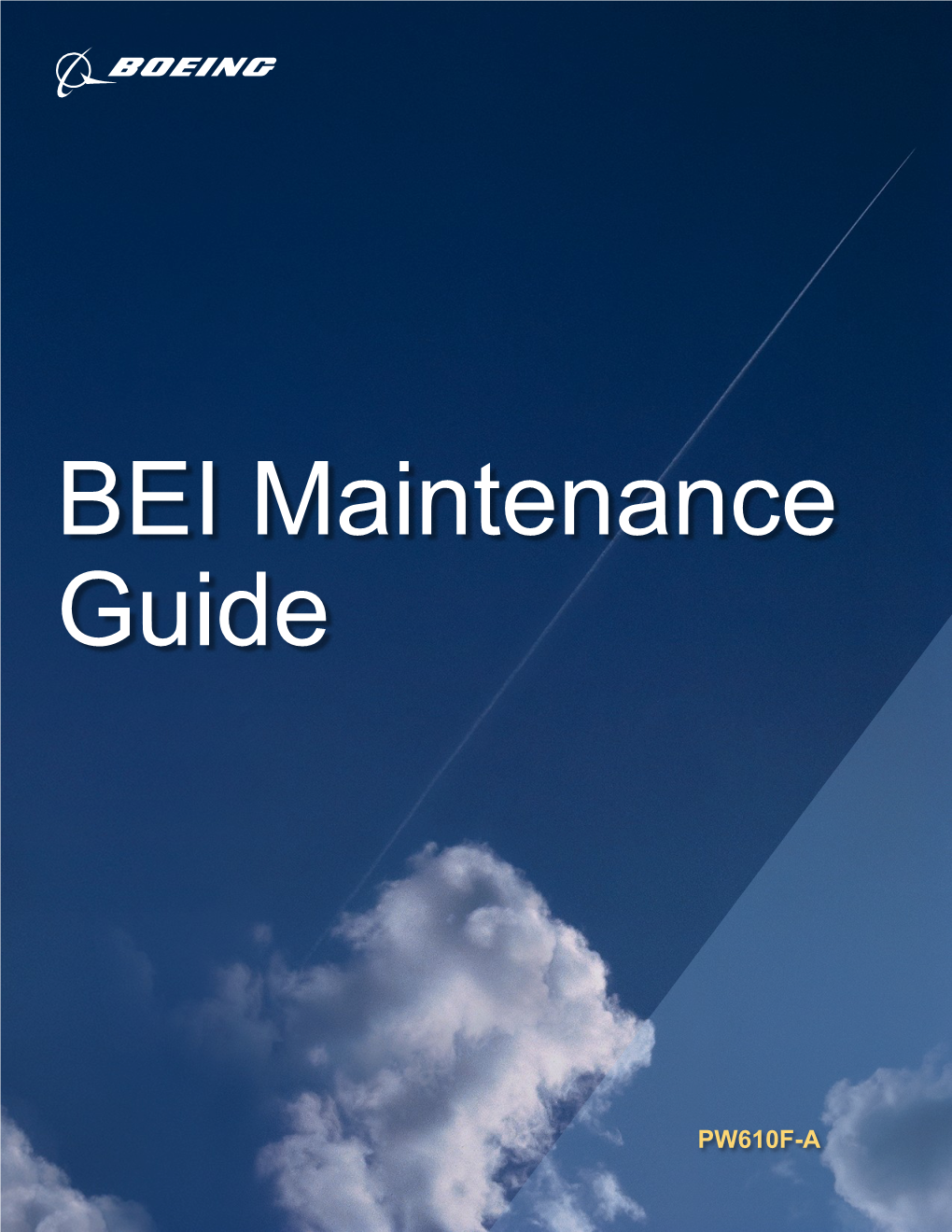 BEI Maintenance Guide