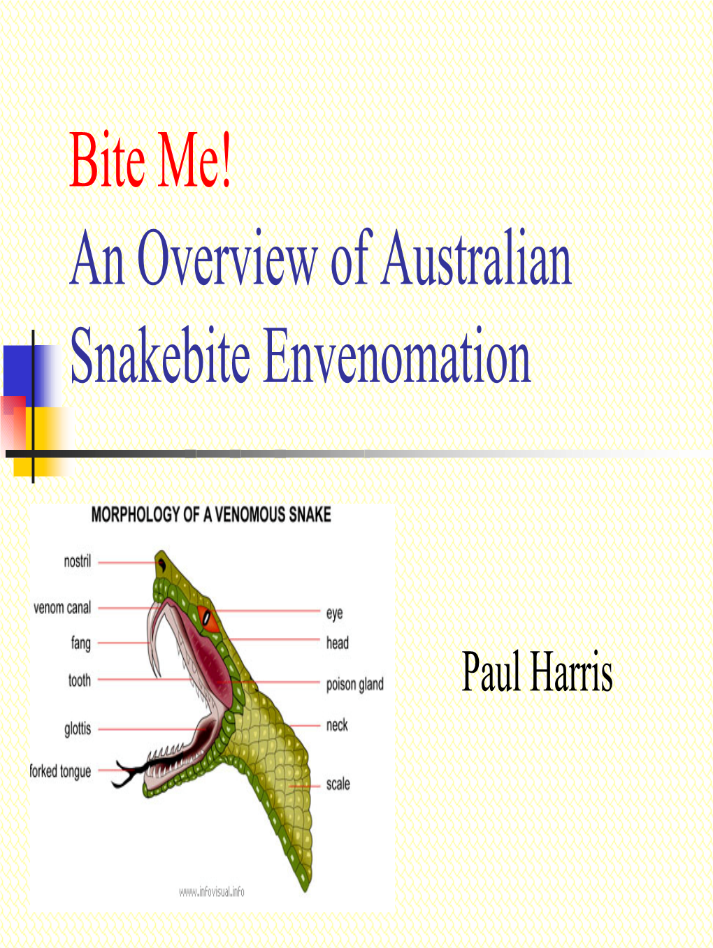 Bite Me! an Overview of Australian Snakebite Envenomation