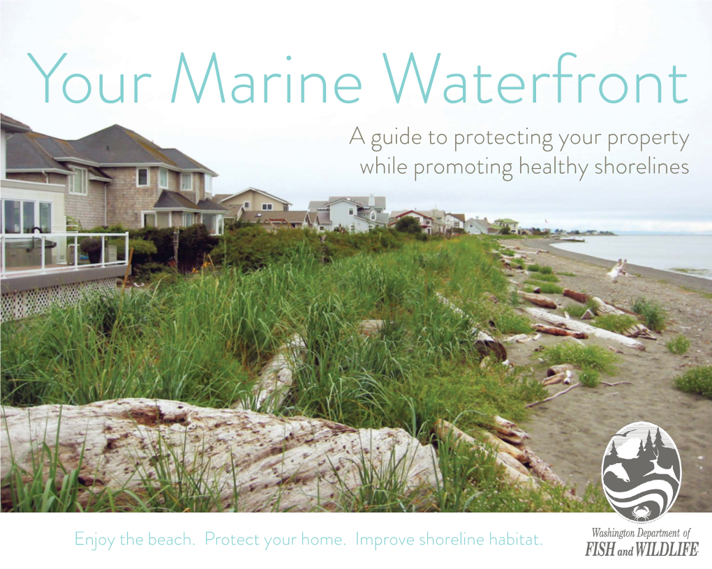 Your Marine Waterfront a Guide to Protecting Your Property While Promoting Healthy Shorelines