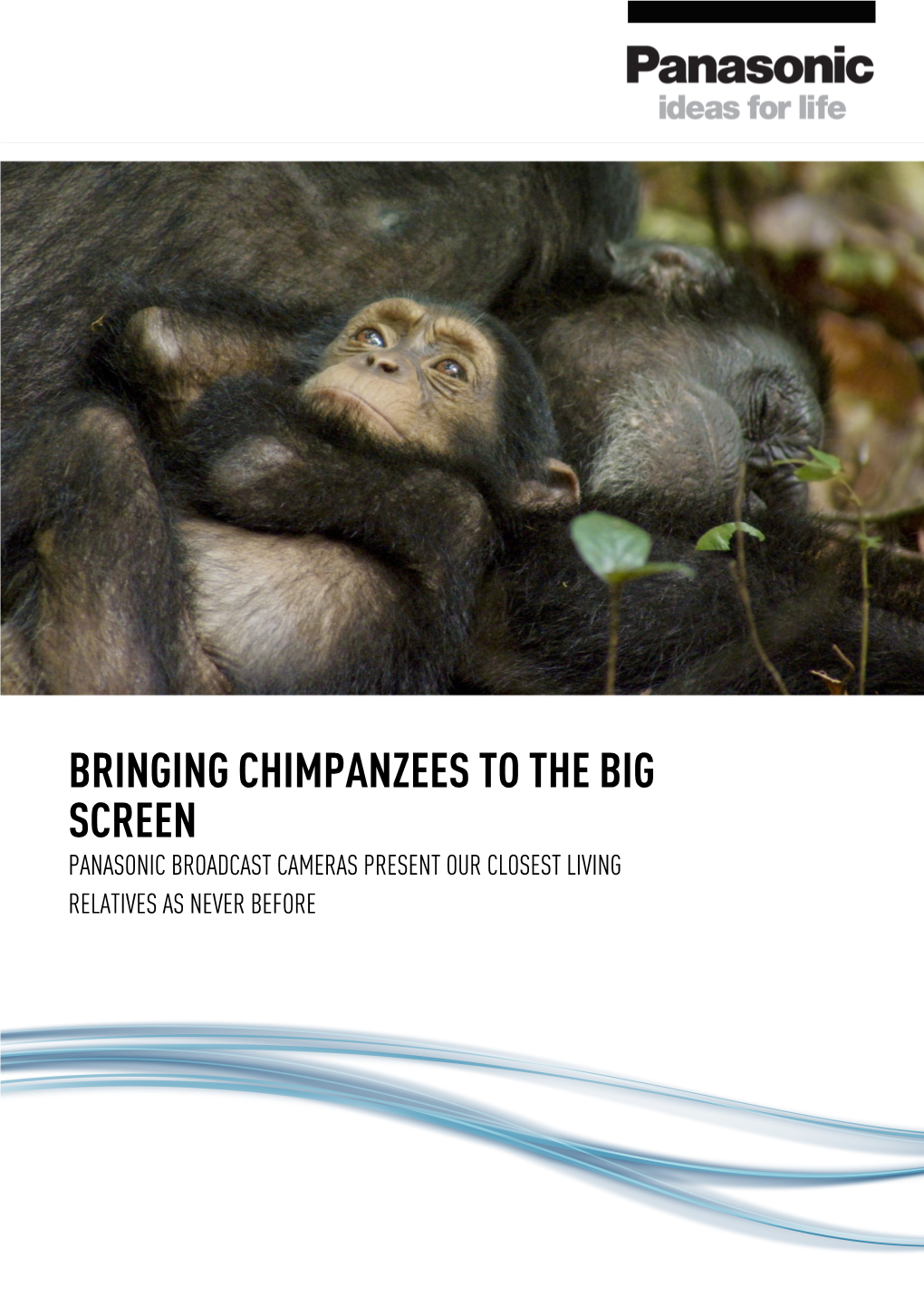 Bringing Chimpanzees to the Big Screen Panasonic Broadcast Cameras Present Our Closest Living Relatives As Never Before