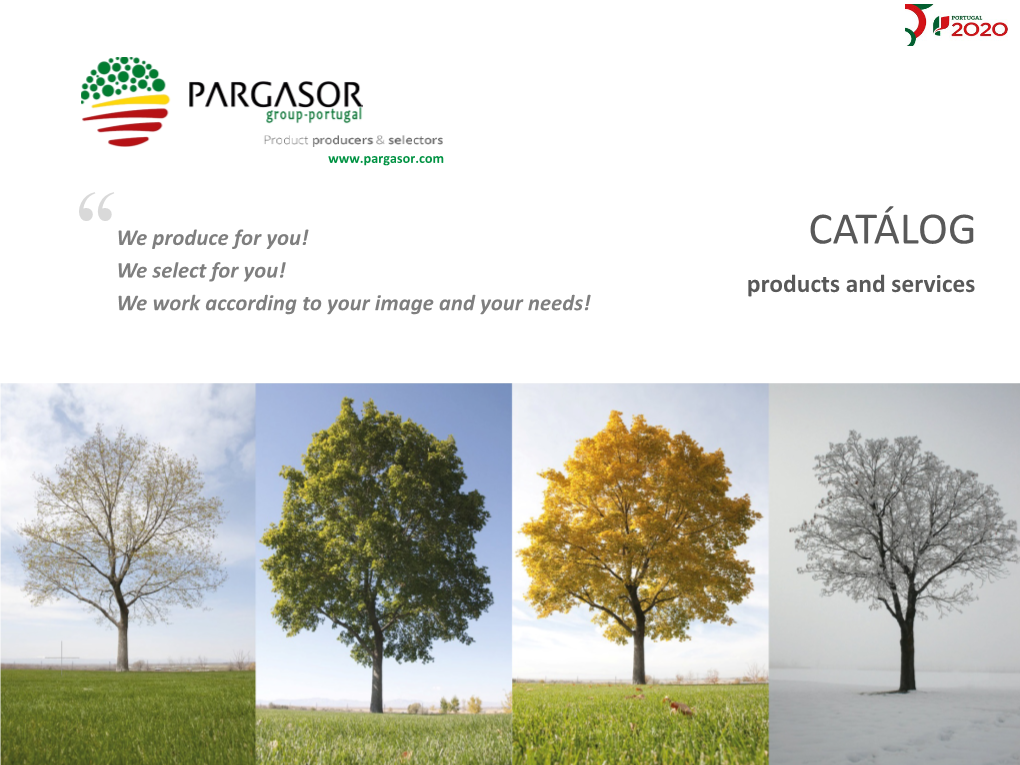 CATÁLOG “We Select for You! Products and Services We Work According to Your Image and Your Needs! INFORMATION