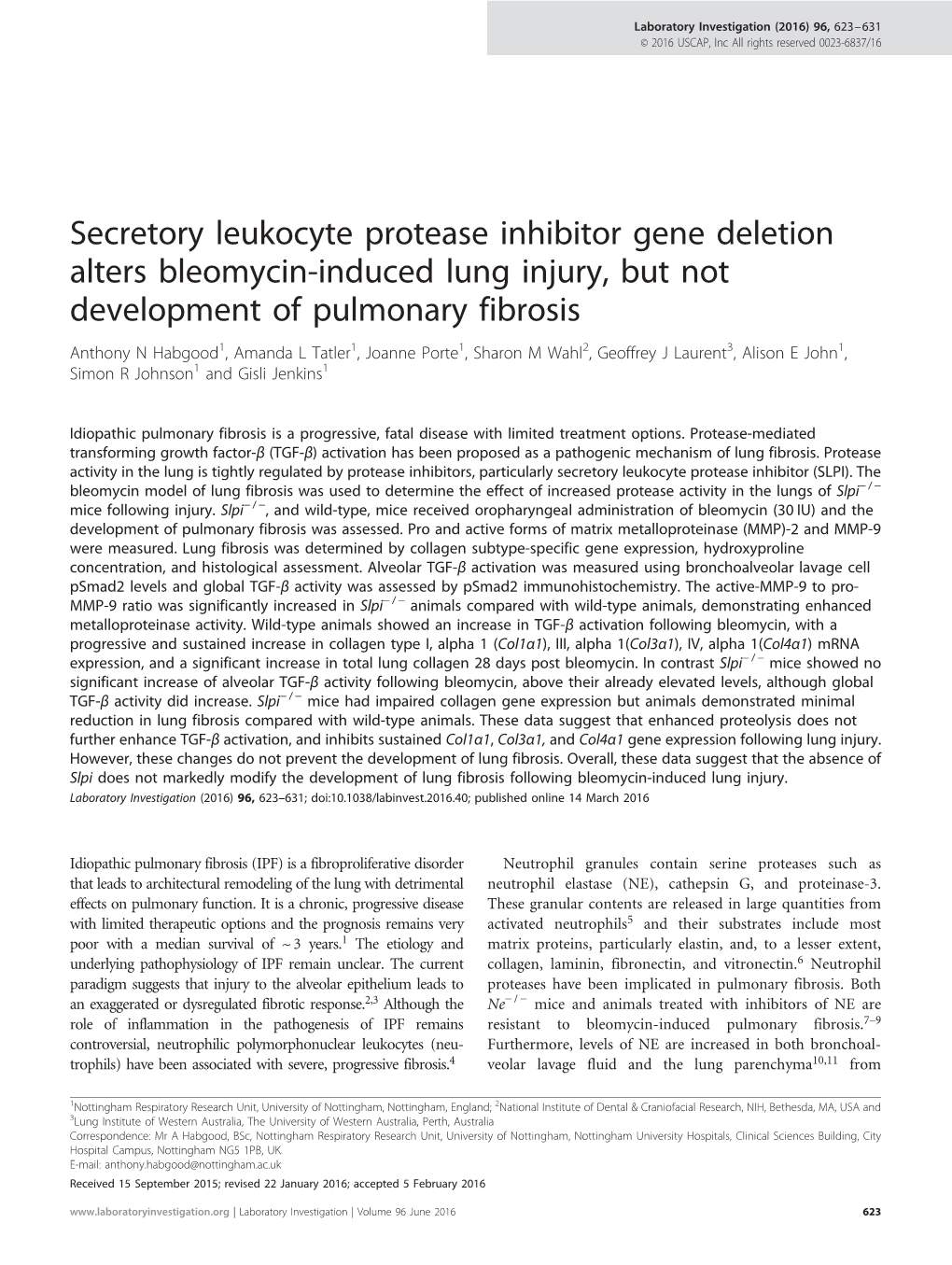 Secretory Leukocyte Protease Inhibitor Gene Deletion Alters Bleomycin