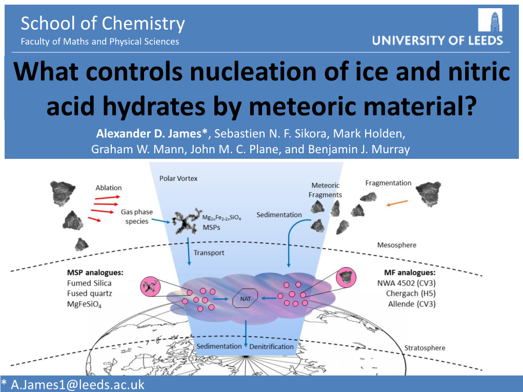 What Controls Nucleation of Ice and Nitric Acid Hydrates by Meteoric Material? Alexander D