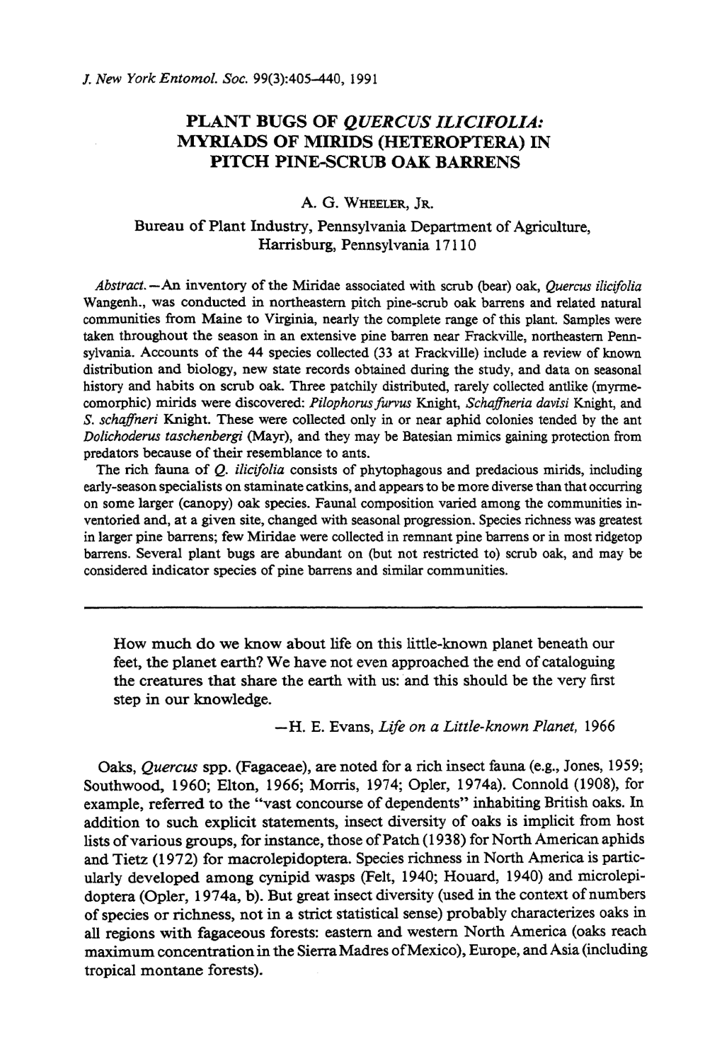 Plant Bugs of Quercus Ilicifolia: Myriads of Mirids (Heteroptera) in Pitch Pine-Scrub Oak Barrens